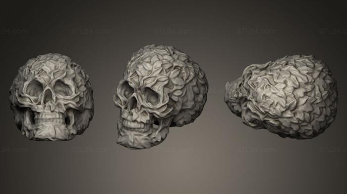 Miscellaneous figurines and statues (Forest Skull, STKR_0181) 3D models for cnc
